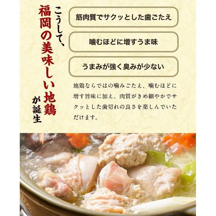はかた地どり水炊き6種盛りセット 3～4人前