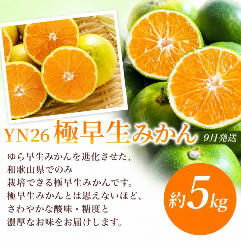 【定期便】夏の人気フルーツ定期便！桃・ピオーネ・極早生みかん（全3回）/ フルーツ 果物 もも モモ ぶどう ブドウ みかん ミカン 柑橘 旬 定期便  【tkb153】