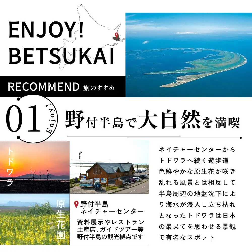 ひがし北海道 別海町の旅（日本全国発着 ANA往復 航空券+別海町 宿泊1泊 北海道 旅行券） 旅行
