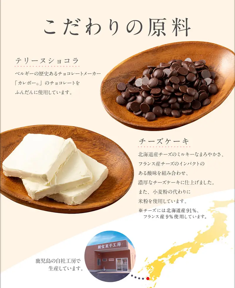 2029 オクタス テリーヌ ショコラ チーズケーキ 2種セット KN021-029 米 ケーキ