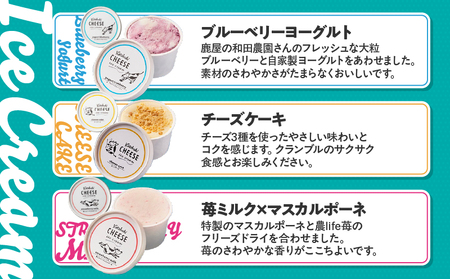 2105 チーズケーキ / アイスクリーム 6種 バラエティ BOX KN087-005 アイス 菓子 ケーキ