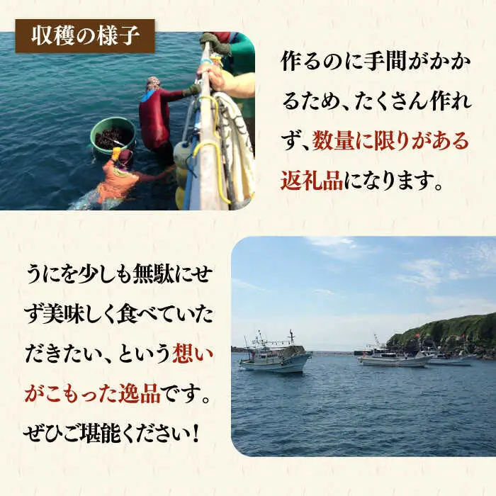【数量限定】 うにみそ 50g×2本 《壱岐市》【鈴の海庭】 ウニ 雲丹 ウニ味噌 海産物  紫ウニ 珍味 おつまみ ご飯のお供 がぜみそ [JFV003]