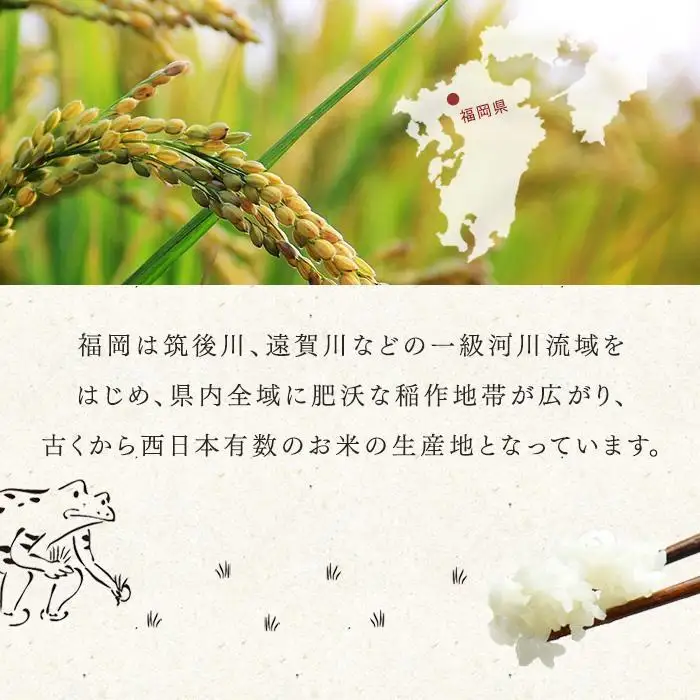 お米 夢つくし 玄米 PREMIUMパック 160g×24パック | パックご飯 パックごはん 玄米パック 非常食 保存食 福岡県産