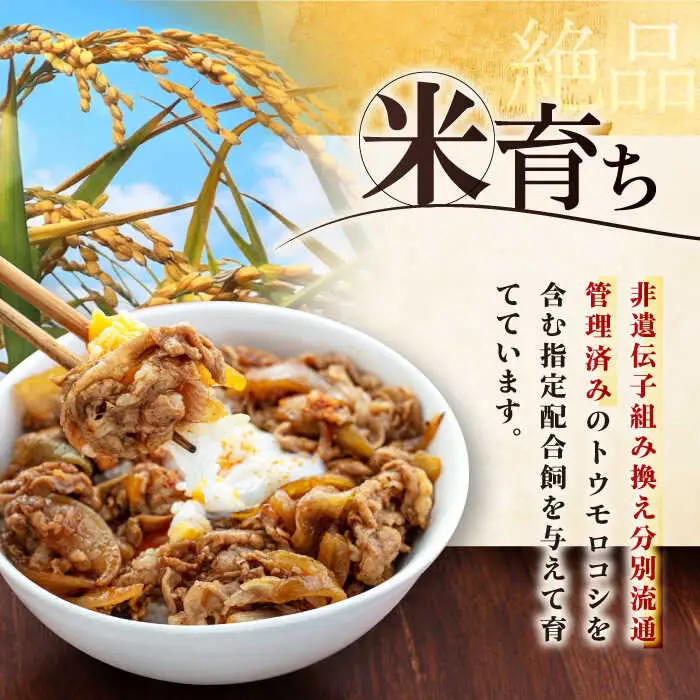平田牧場 切り落とし 2kg (500g×4P)  豚肉 切り落とし 小分け [AJAP006]