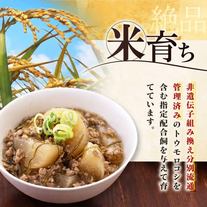 平田牧場 豚肉 2種セット 豚肉 詰め合わせ セット [AJAP008]