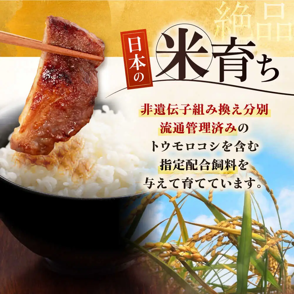 平田牧場 ロース みそ漬け 6枚 (3枚×2P)  ロース 豚肉 味噌漬 小分け [AJAP011]