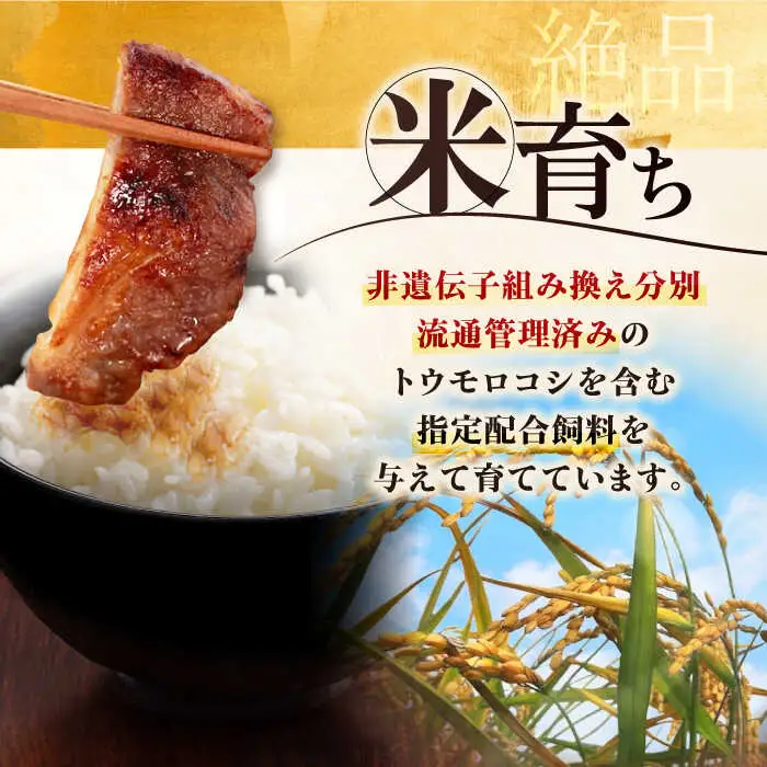 平田牧場 ロース みそ漬け 12枚 (3枚×4P) ロース 豚肉 味噌漬 小分け [AJAP012]