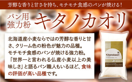 パン用小麦粉 キタノカオリ 北海道十勝 前田農産 10kg 1kg×10袋 有限会社 十勝太陽ファーム 送料無料 北海道 本別町《60日以内に出荷予定(土日祝除く)》小麦粉小麦粉小麦粉小麦粉小麦粉