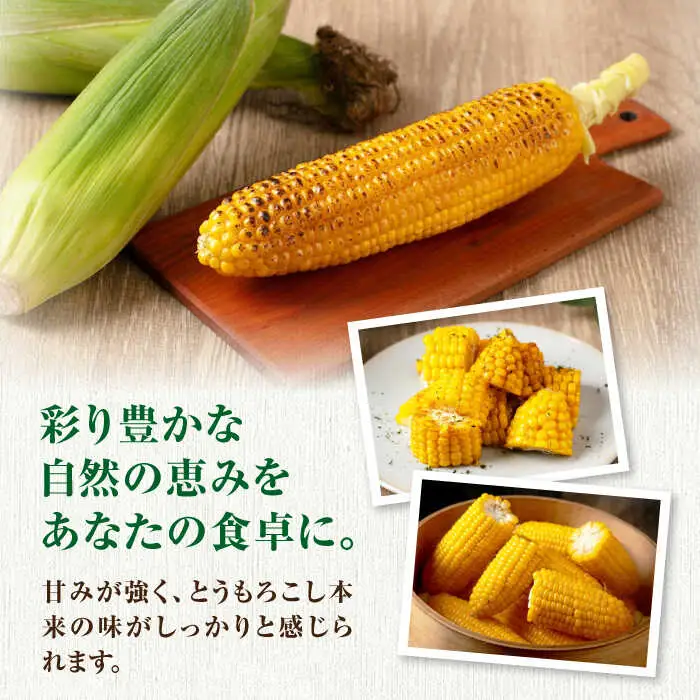 【先行予約】朝採れとうもろこし 10本 [AJAH025] とうもろこし