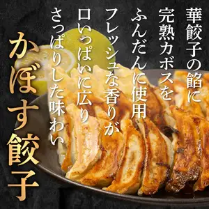 牛肉100％の餃子　華永の華々餃子×かぼす餃子　14個入り各1パック A07004