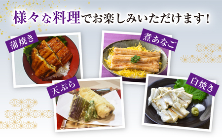 【全12回定期便】対馬産 西沖あなご 200g×3パック [WAA027] あなご アナゴ あなご 穴子