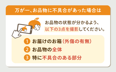 【24年1月限定発送】 対馬 つつ みかん 10kg  長崎 豆酘みかん ミカン 柑橘  [WBM005]
