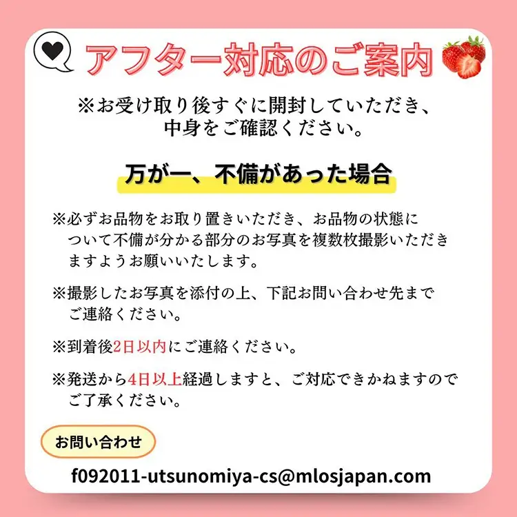 【先行予約】とちおとめ320g×2パック 3Lサイズ いちご アフター対応あり いちご ※2027年1月～発送