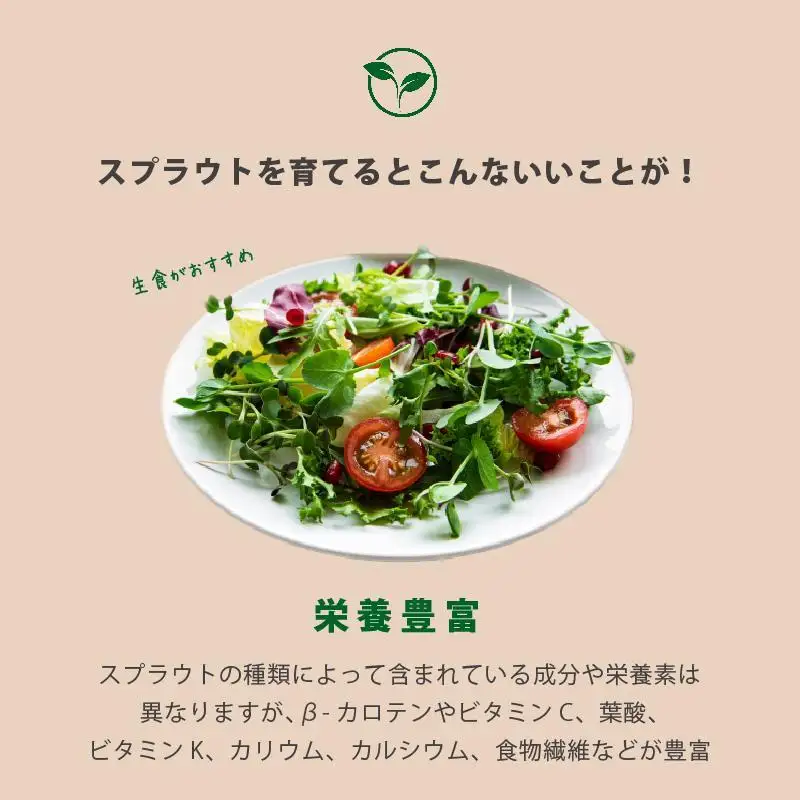 【ブラウン】ベジマジそだてる スプラウト栽培容器 種付き 水耕栽培 おしゃれ 家庭菜園