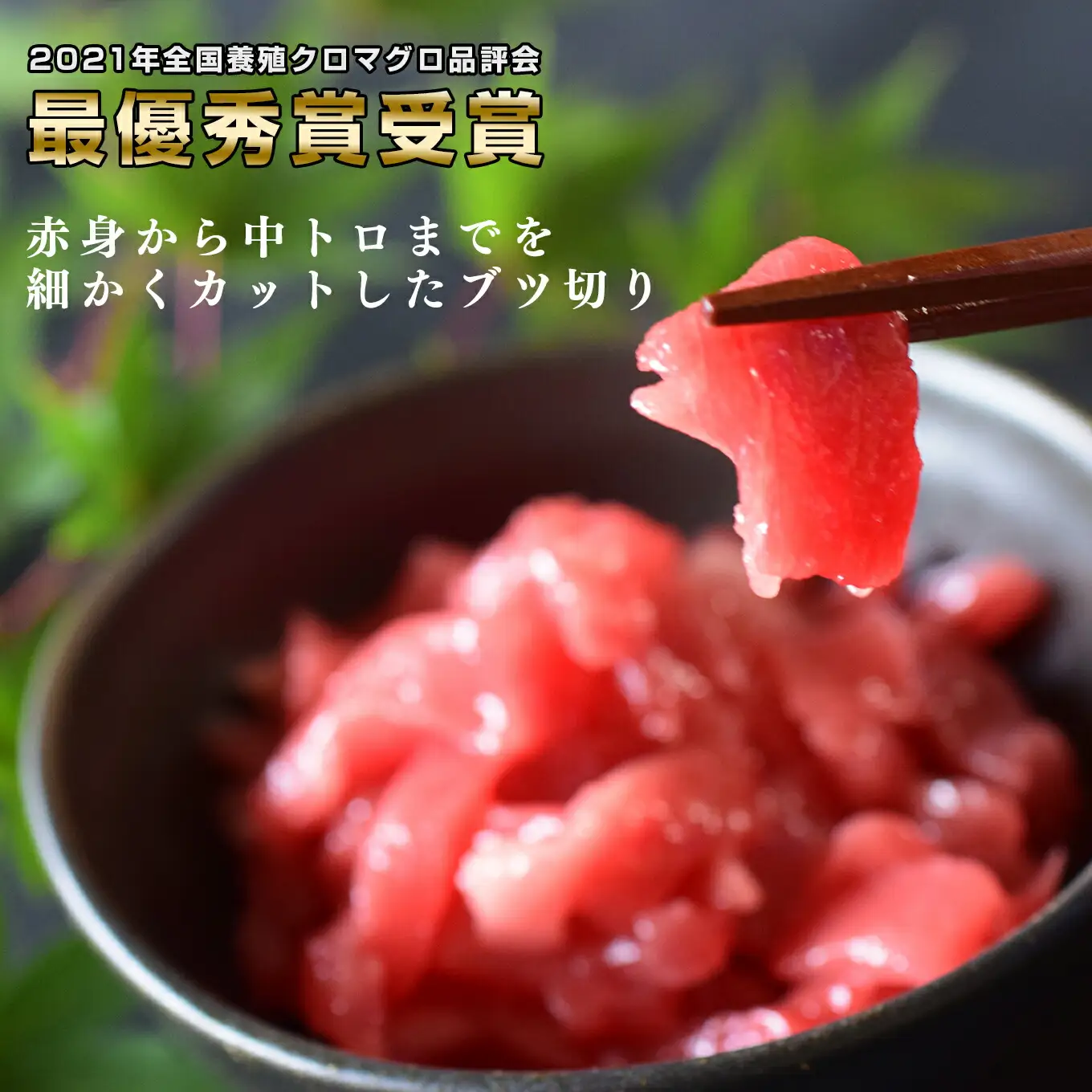 【3回お届け】黒潮本マグロ 3種堪能セット
