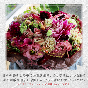 【3ヶ月定期便】花のある生活～小松弘典が手がけるフラワーアレンジメント～イメージ別に選ぼう！エレガント＆シックなイメージ（Mサイズ）【定期便：毎月１回×３ヶ月】