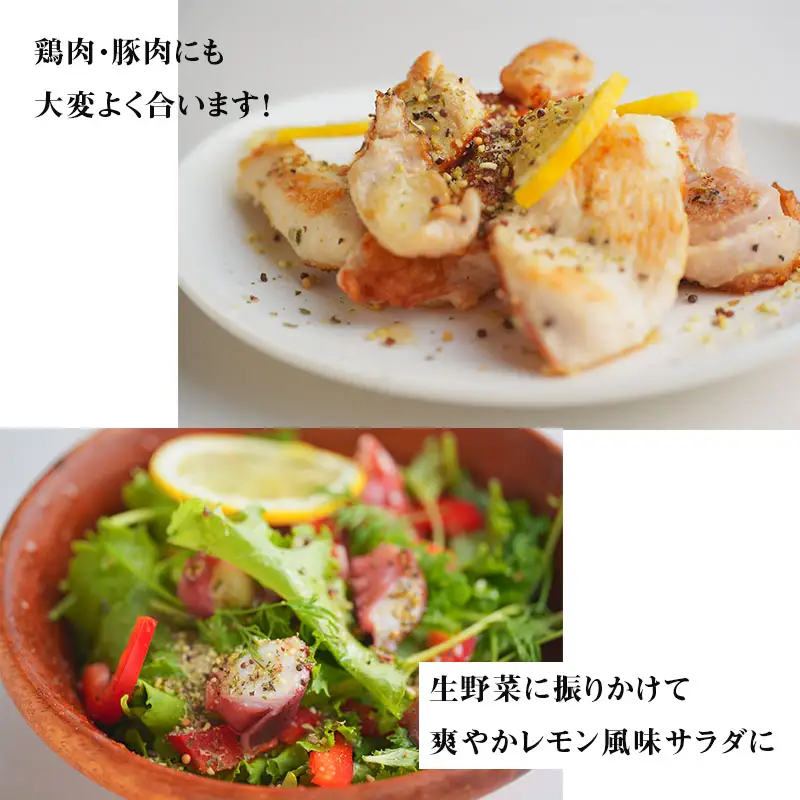 焼き肉専門店 レモン塩 スパイス 90g×1袋 お試し