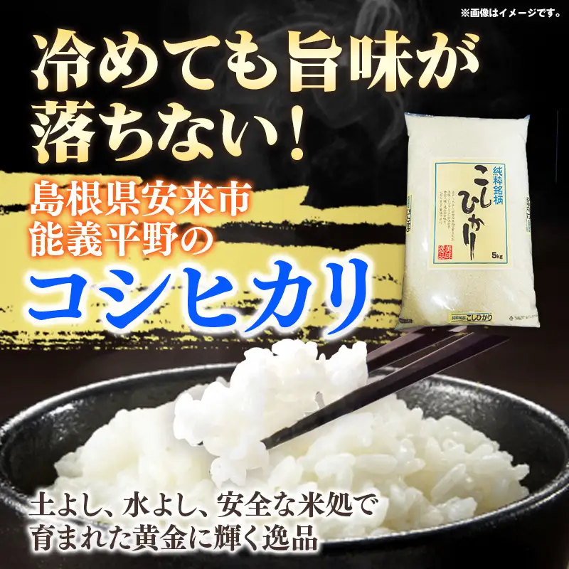 五ツ星お米マイスター厳選 能義平野のコシヒカリ 5kg 【令和7年産 精米 白米 ご飯 お米 こしひかり 美味しい 安心 安全 沼田米穀店 島根県 安来市】【価格変更】【14-NB-07】