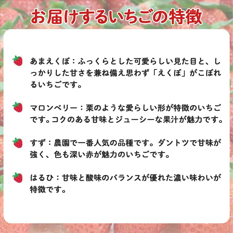 【先行予約】農場長厳選の美味しいいちご 1000g【250g×4パック 苺 詰め合わせ 厳選 フルーツ 果物 かおり野 紅ほっぺ よつぼし スターナイト すず 甘味 セット 化粧箱 島根県 安来市 安来市産】【18-MS-17】