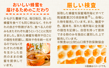 はちみつ 蜂蜜 百花 600g 2本 かもがた養蜂 《30日以内に出荷予定(土日祝除く)》 岡山県 浅口市 送料無料 ハチミツ 百花蜜 百花はちみつ 岡山県産