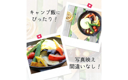 佐賀牛カレー×4 161-J769