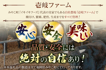 ビーフカレー 九州産黒毛和牛  4個セット 惣菜 夜食 壱岐ファーム カレー 自社農場 ビーフ 宮崎牛