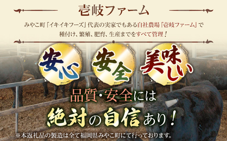 九州産黒毛和牛100％ 手ごねハンバーグ&牛すじ煮 計4個セット 自家製ハンバーグソース付き 惣菜 晩御飯 晩ご飯 晩飯 夕飯 夜ご飯 夜食 洋風 和風 つまみ オリジナル たれ 煮込み 壱岐ファーム ビーフ 宮崎牛