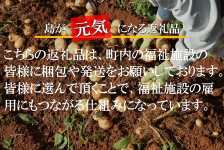 《今が旬！》福祉作業所の仕事にもつながる！徳之島の“新”じゃがいも（5kg）( バレイショ 野菜 旬 春 徳之島 奄美 鹿児島 肉じゃが カレー じゃがバター 美味しい 人気 オススメ )