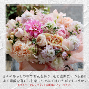 【12ヶ月定期便】花のある生活～小松弘典が手がけるフラワーアレンジメント～イメージ別に選ぼう！キュートなイメージ（Mサイズ）【定期便：毎月１回×12ヶ月】