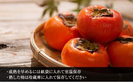 【先行予約】富有柿 贈答用  2L×12個【富有柿の発祥の地 瑞穂市！！】※2026年11月～発送
