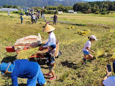自然栽培米 キヌヒカリ 玄米 5kg　京都府・亀岡産 令和5年産 栽培期間中農薬不使用  ※離島への配送不可