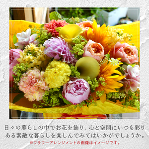 【6ヶ月定期便】花のある生活～小松弘典が手がけるフラワーアレンジメント～イメージ別に選ぼう！ポップなイメージ（Mサイズ）【定期便：毎月１回×6ヶ月】