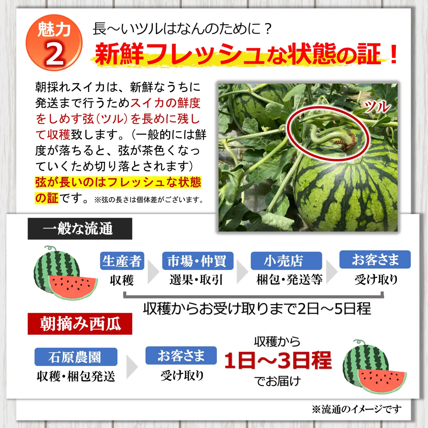 小玉 スイカ（ 赤色 ）1玉 すいか 西瓜 1玉 熊本県和水町産 【2027年（令和9年）4月中旬頃から順次出荷予定】  すいか 西瓜