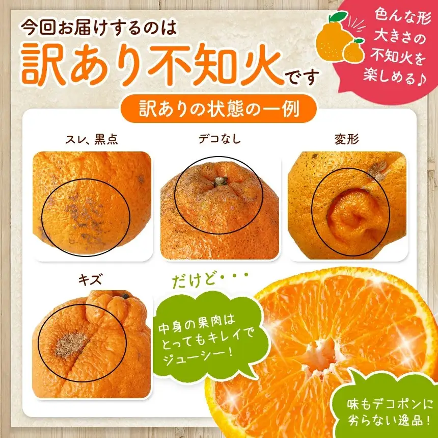 【 先行予約 】【訳あり】ご家庭用 不知火 約 10kg 熊本県産 和水町