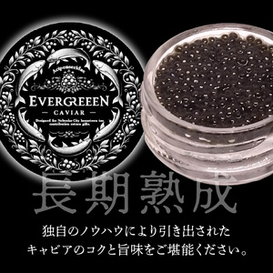 宮崎県産キャビアEVERGREEENCAVIARエバーグリーンキャビア12g N0183-YC221