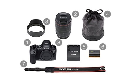 【Canon】 キヤノン ミラーレス カメラ EOS R6 MarkⅡ RF24-105L IS USM レンズキット キャノン_0038C