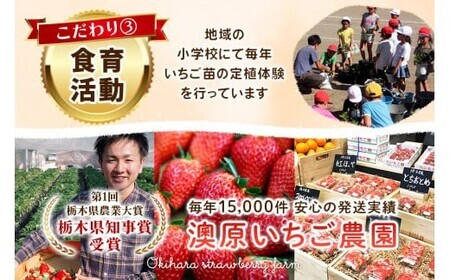【2027年先行予約】栃木のいちご4品種 食べ比べセット｜いちご