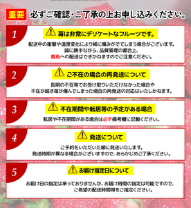 竜王産 いちご きらめきの雫  2 パック 食べ比べ セット