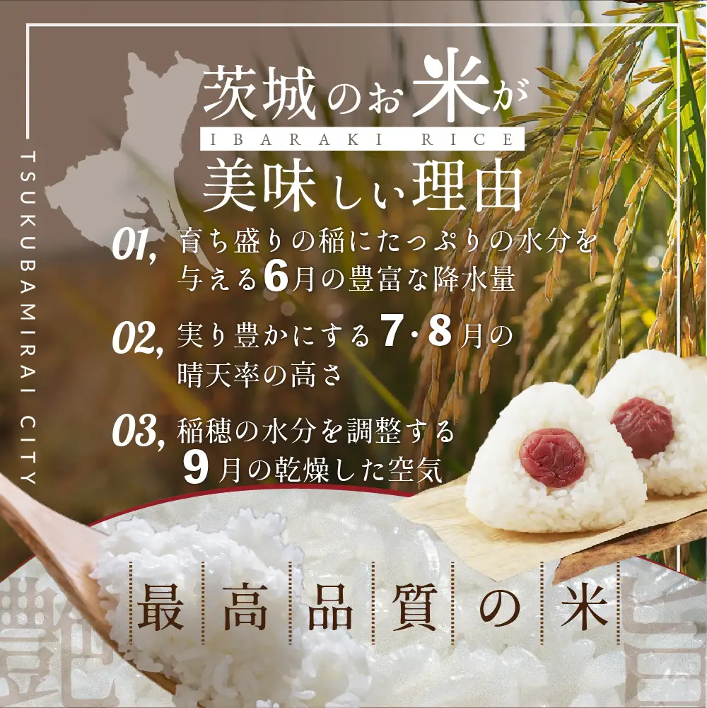 最短翌日出荷!! 令和7年産 茨城県産 コシヒカリ 10kg ( 5kg ×2袋) 