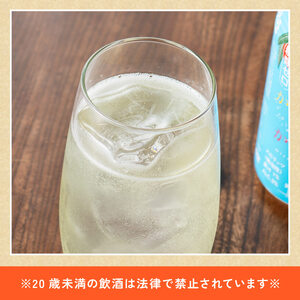 【6ヶ月定期便】サンA酎乾杯果汁「マンゴー酎ハイ」（350ml缶×48本）【酒 お酒 チューハイ アルコール飲料  アルコール マンゴー 全6回 定期便】