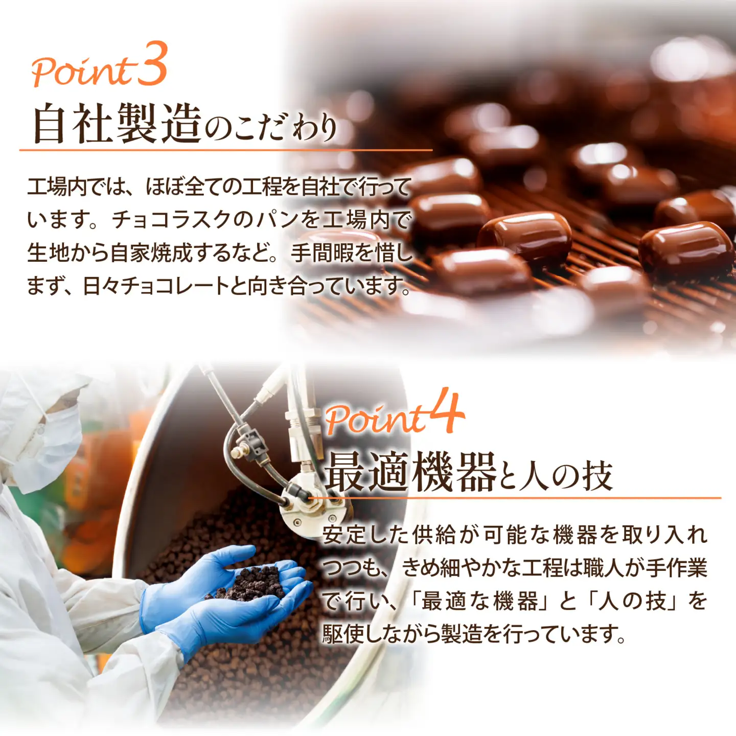 YOKOIチョコラスク カカオ 8個入り [A-127002] / チョコ