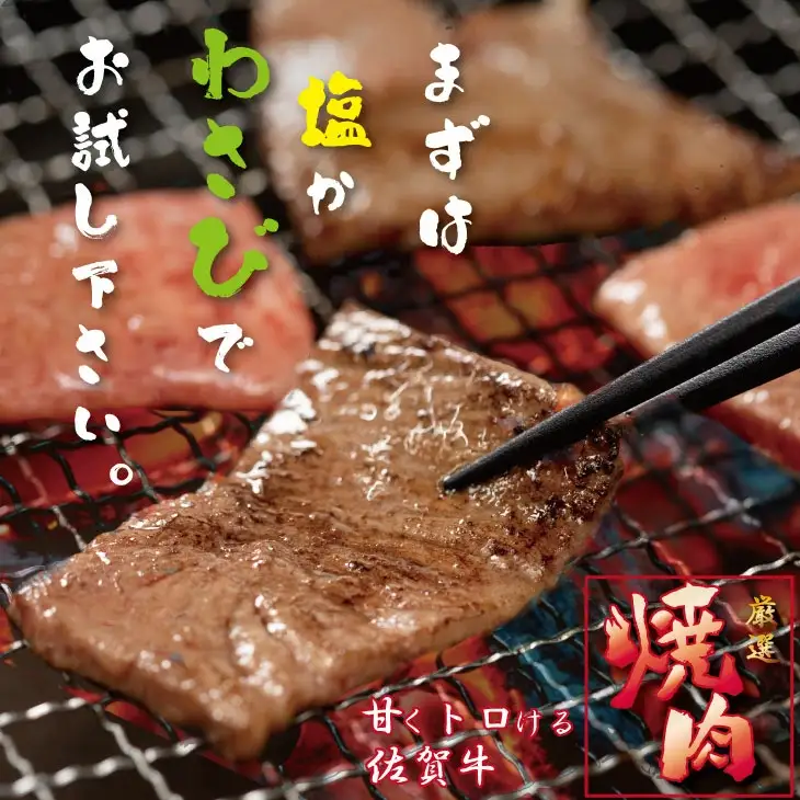 佐賀牛 焼肉 400g  焼肉 牛肉 厳選部位 B120-031