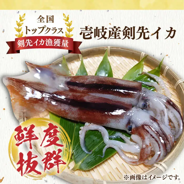 刺身用 剣先イカ 約2kg（急速冷凍）《壱岐市》【魚助】 イカ いか 剣先いか ケンサキイカ刺し身 鮮魚 海鮮 [JFX001]