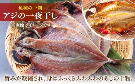地魚 田舎干物セット 5種《壱岐市》【魚助】 干物 ひもの 海産物 朝食 海鮮 アジ あじ カマス イワシ アジの開き [JFX005] 九州
