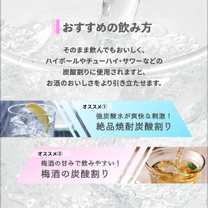I9-2216／【6回定期】財寶温泉強炭酸水 500ml×48本