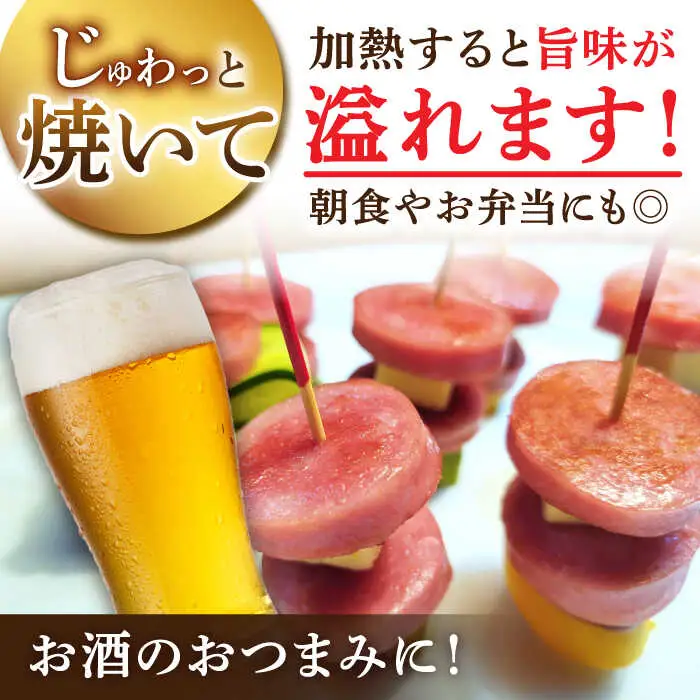 【6回定期便】宮地ハムのロングセラー ボロニアソーセージ 100g×6本 /宮地ハム [UBM012] ソーセージ