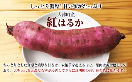 熊本県 大津町産 タカハマ観光農園 の 紅はるか 約3kg 大中小ミックス《30日以内に出荷予定(土日祝除く)》 さつまいも 芋 スイートポテト 干し芋にも