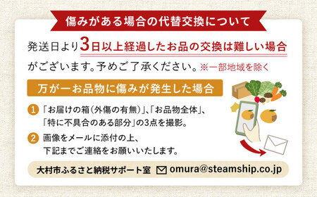 いちご「ゆめのか」4P / イチゴ 苺 いちご ゆめのか 果物 くだもの フルーツ ふるーつ / 大村市 / 産直松吉[ACZC005]