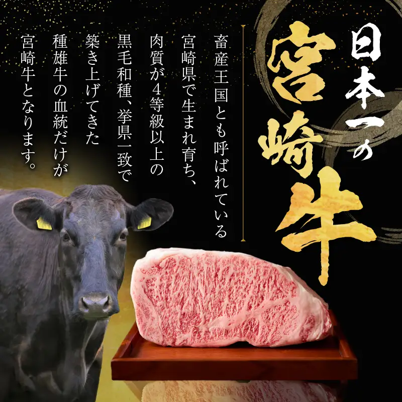 ≪数量限定≫宮崎牛ヒレステーキ(計360g) 肉 牛 牛肉 焼肉 国産_T030-1045