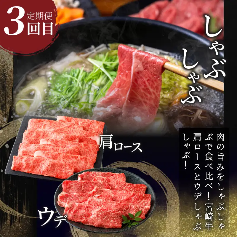 3か月お楽しみ定期便『宮崎牛よくばりセット』総重量2.4kg 肉 牛 牛肉 おかず 国産_T030-1366